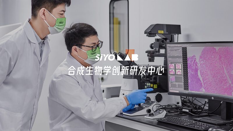 CDMO工艺流程分类解析：揭秘生物医药生产的秘密武器