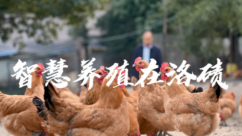分子克隆试剂：揭秘厂家资质背后的秘密**