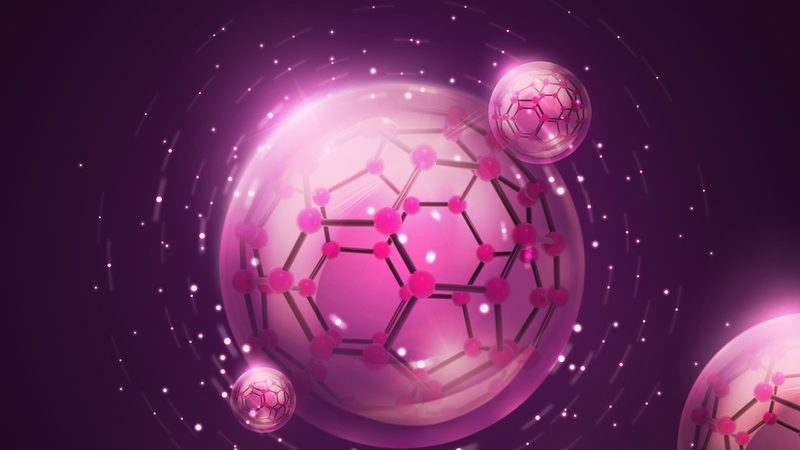 通用引物：价格之外，你还需要了解这些**