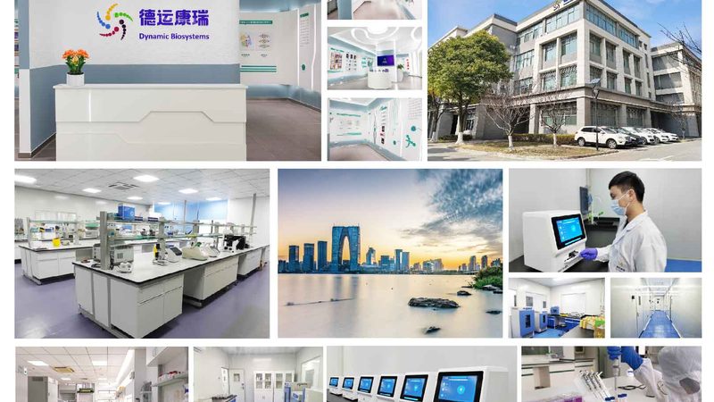 北京抗体定制实验方法：揭秘精准药物研发的关键步骤**