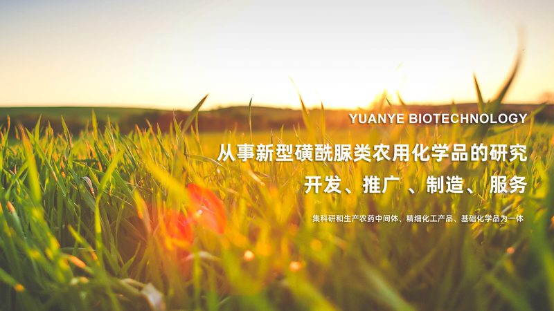 细胞工厂生物反应器型号解析：揭秘不同型号的奥秘