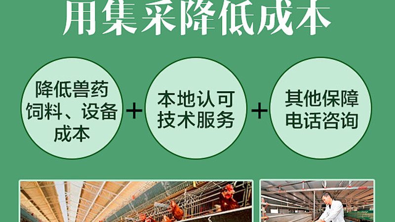 无血清培养基：生物科技研发的“生命之源