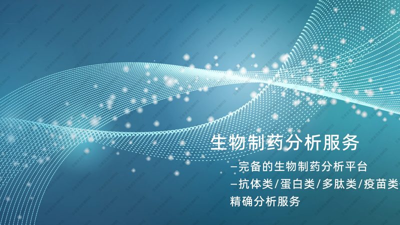 品牌与质量：性价比的平衡