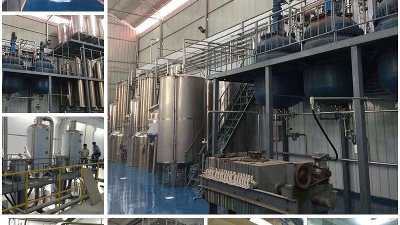 酶促反应步骤解析：关键步骤与差异点详解