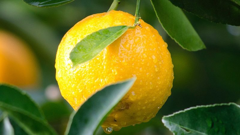 生物医药项目资金退出机制：关键环节与策略解析**