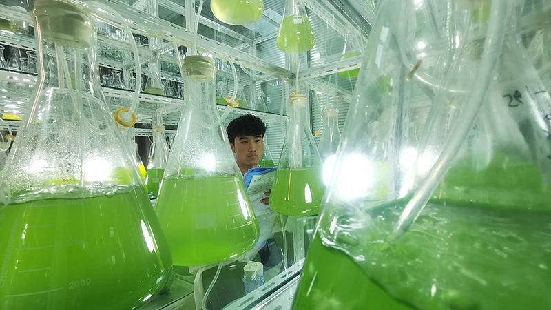 精准之选：高精度实验室耗材的品牌推荐与解析**